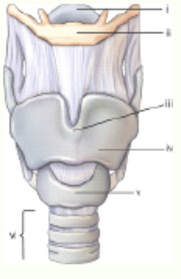 <p>Label this image.</p>