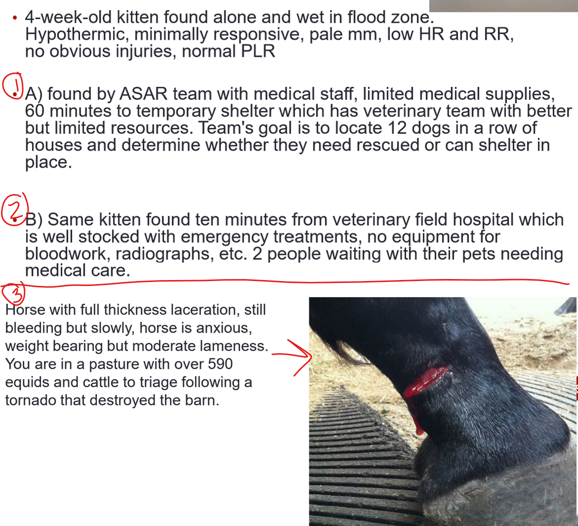 <p>veterinary disaster field triage…</p><p>classify each patient as black, red, yellow, or green</p>