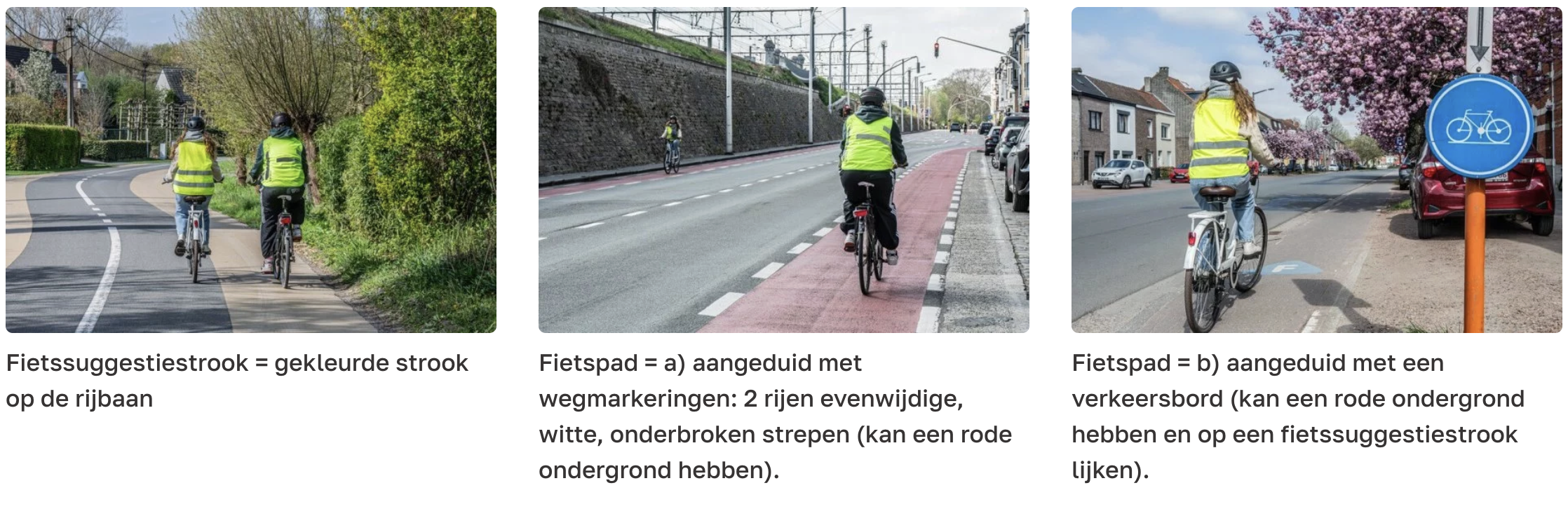 <p>welke zijn fietssuggestiestrook en welke is fietspad</p>