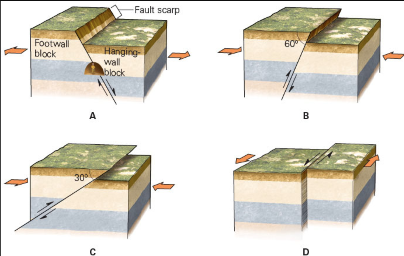 <p><span>Geologists distinguish faults from one another based on the relative motion (sense of slip) of the hanging wall and footwall and the relative dip angle of the fault plane. Which of the images shows the motion of a reverse fault?</span></p>