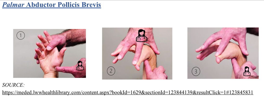 <p>F wrist, ABd thumb</p><p>Radial aspect of palmar base at 1 MC joint (abductor pollicis brevis)</p><ol><li><p>pt seated or supine</p></li><li><p>locate point w/ index finger</p></li><li><p>pt wrist flexed, thumb abducted</p></li></ol><p></p>