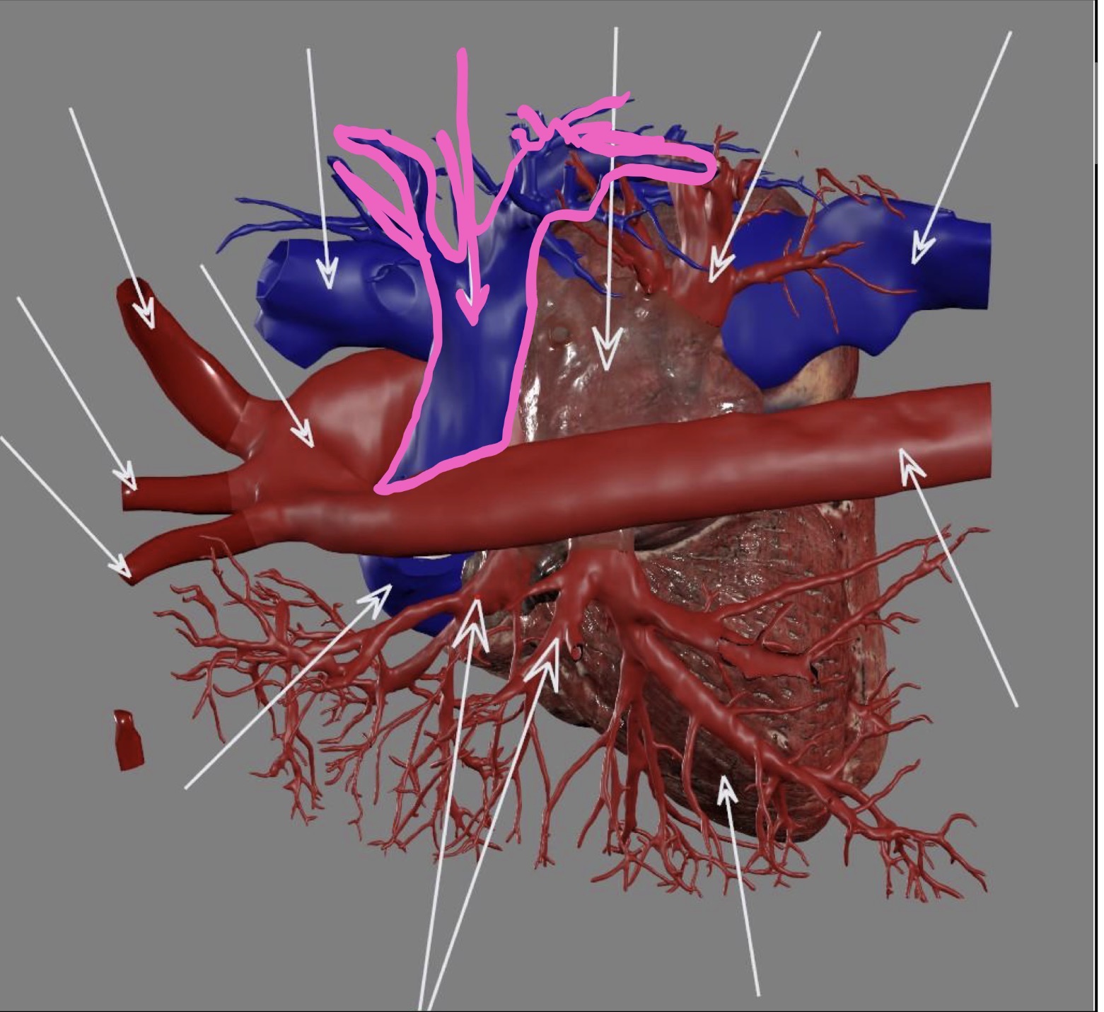 <p>What’s the highlighted area?</p>
