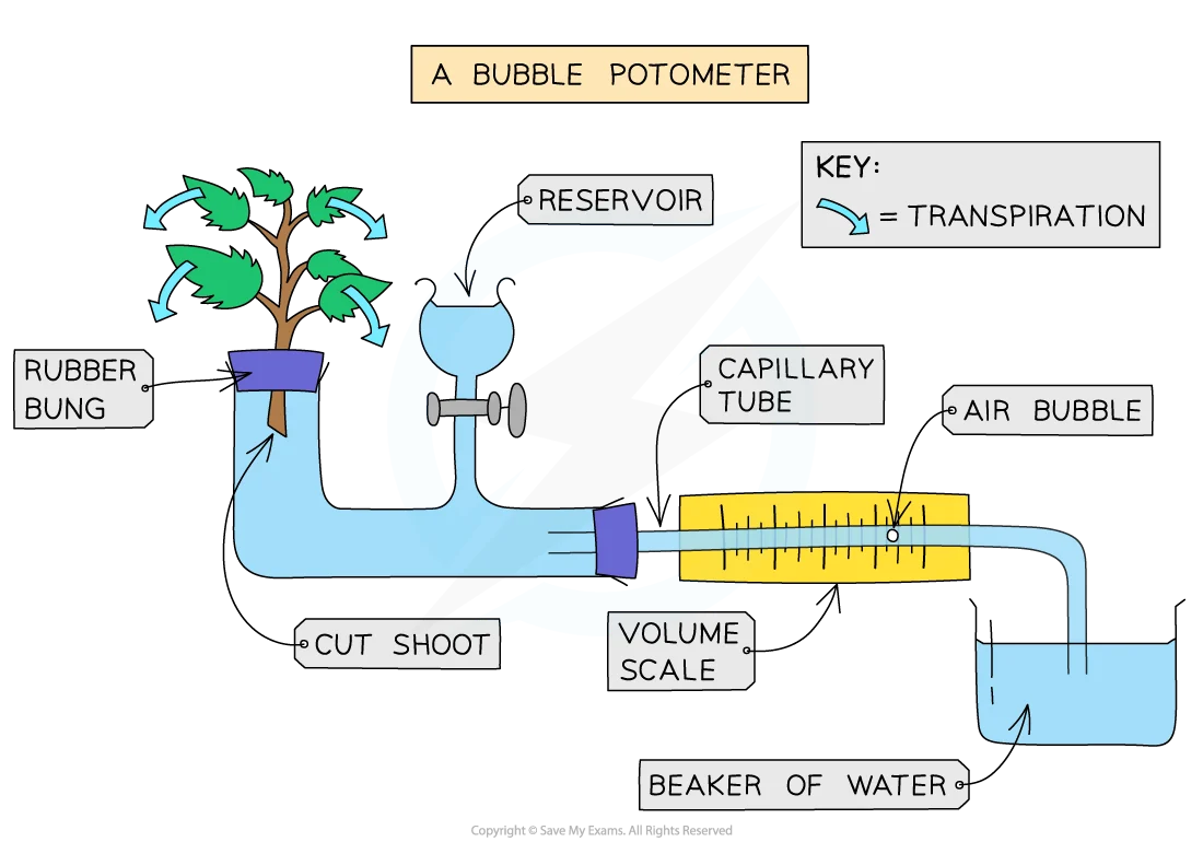 <p>What can be used to estimate transpiration rate? how?</p>