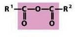 <p>-two carbonyl groups connected by an oxygen</p>