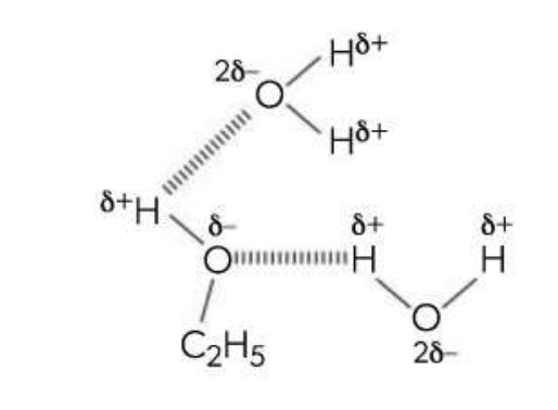<p>Ethanol</p>