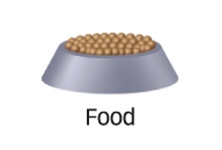 <p>Food</p>