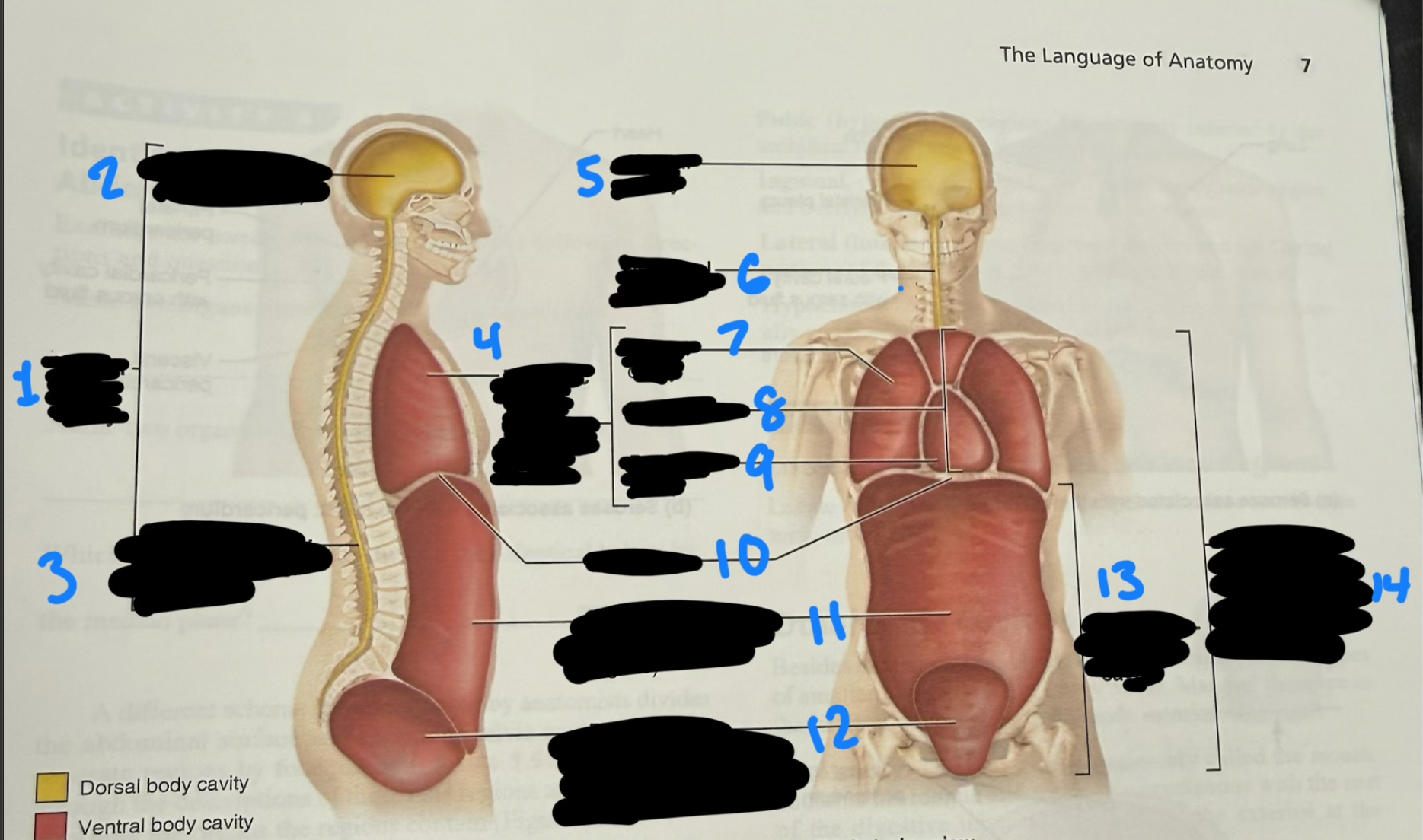 <p>4</p>