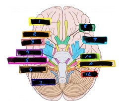 <p>4</p>