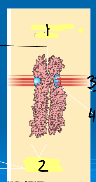 <p>1</p>
