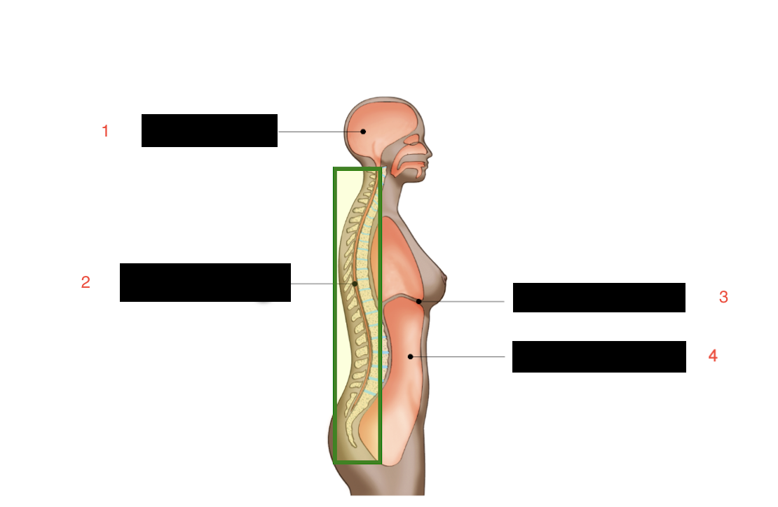 <p>1</p>