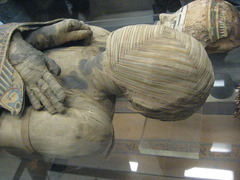 <p>Body preserved for the after-life</p>