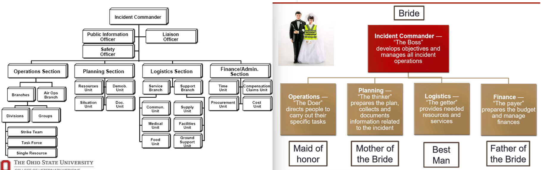 <p>its organized into a VERY clear chain of command that tells everyone who’s in charge, what their role is, &amp; how to communicate with each other </p><ul><li><p><em>note: this allows ppl from all diff orgs (e.g. firefighter, medical team, etc.) to work together smoothly</em></p></li></ul><p>.</p><ol><li><p>incident commander: the leader </p></li><li><p>operations: ppl physically working in the field</p></li><li><p>planning: make the plan &amp; document all info</p></li><li><p>logistics: provides resources that you need (e.g. will find you a building to house 200 dogs)</p></li><li><p>finance: preps the budget &amp; manages money</p></li></ol><p></p>