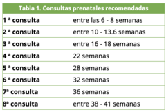 <p>8 consultas prenatales distribuidos durante el embarazo para favorecer una experiencia positiva.</p>