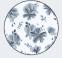 <p>Surf Collection</p>