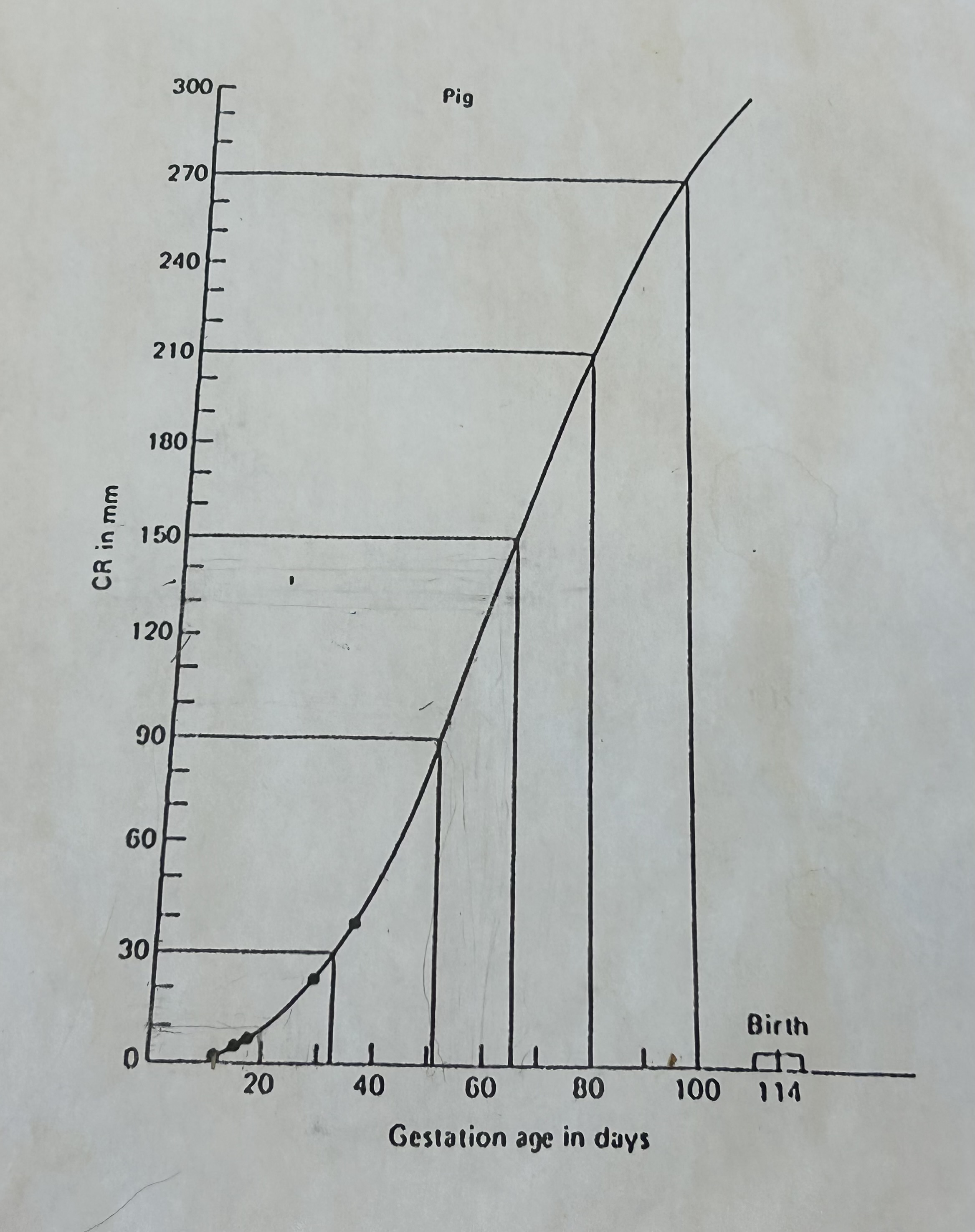 <p>*This is in mm!</p><p>Around 60 days gestation</p>