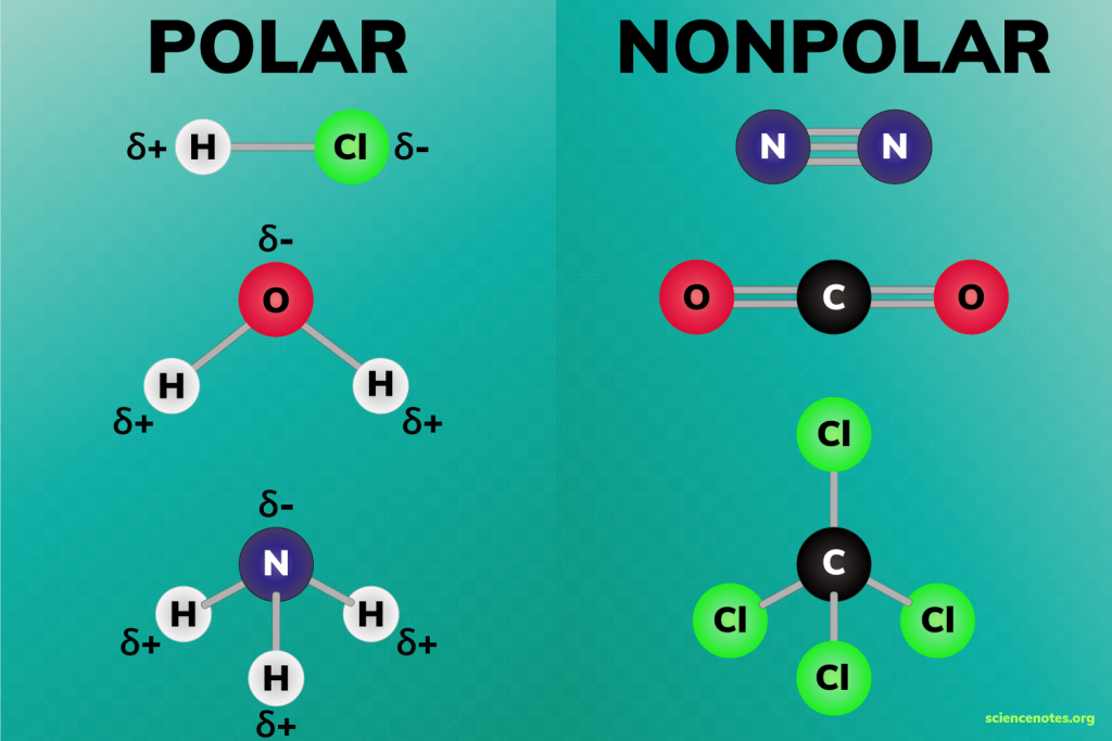 <p>Polar = Difference in electronegativity (unsymmetrical)</p><p>Non polar = symmetrical molecules</p>