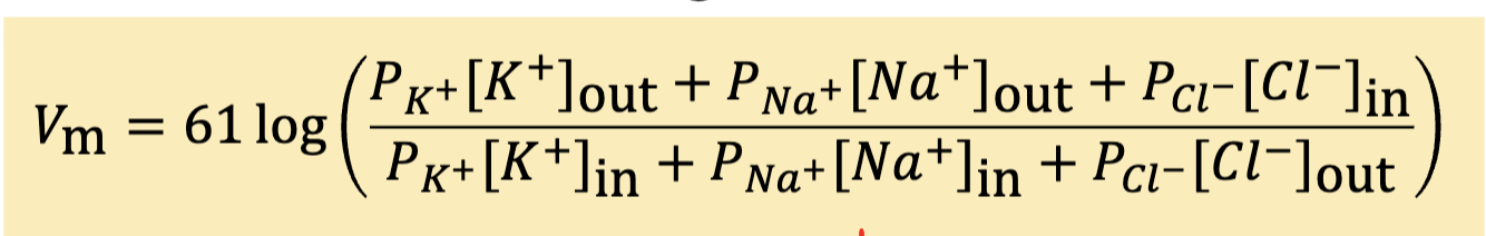 <p>calculates the membrane potential (𝑉m) for a cell that is permeable to multiple ions at a time </p>