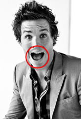 <p>mouth</p>