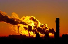 <p>humans combust FFs to convert N2 gas into nitrate (NO3-)</p><p>- ex: NH3 is added to synthetic fertilizer and applied to agricultural soils</p>