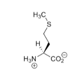 <p>Nonpolar, aliphatic R Groups</p>