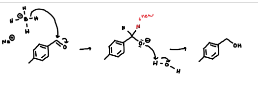 <p>B-H bond attacks carbon of carbonyl. pushes electrons to O. then the O is protonated with water</p>