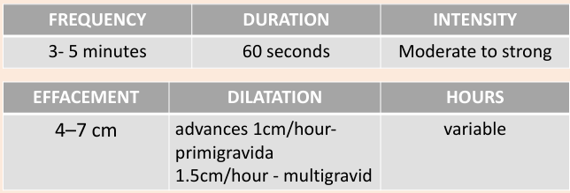 <p>Characterized by more active contractions. During the active labor phase, the woman becomes more focused on each contraction and tends to draw inward in an attempt to cope with the increasing demands of the labor</p>