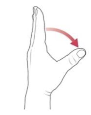 term image