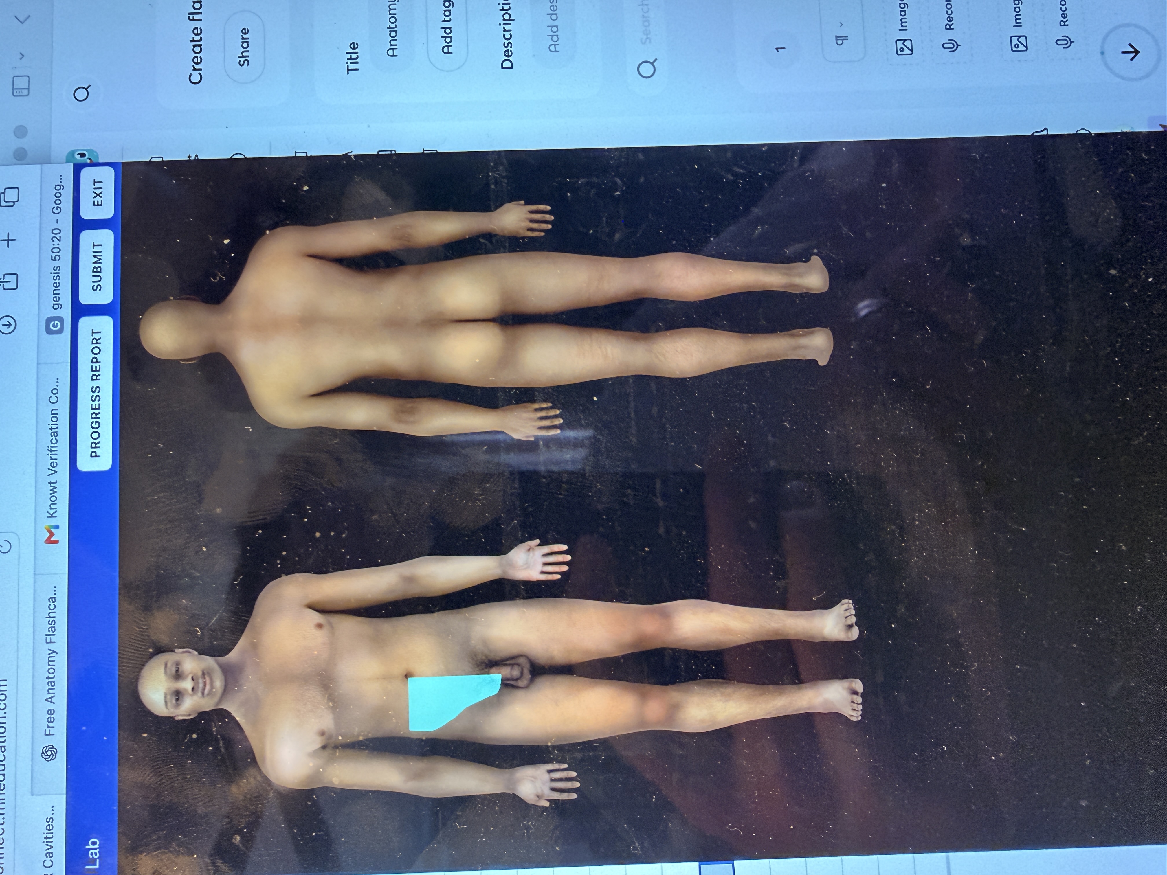 knowt flashcard image