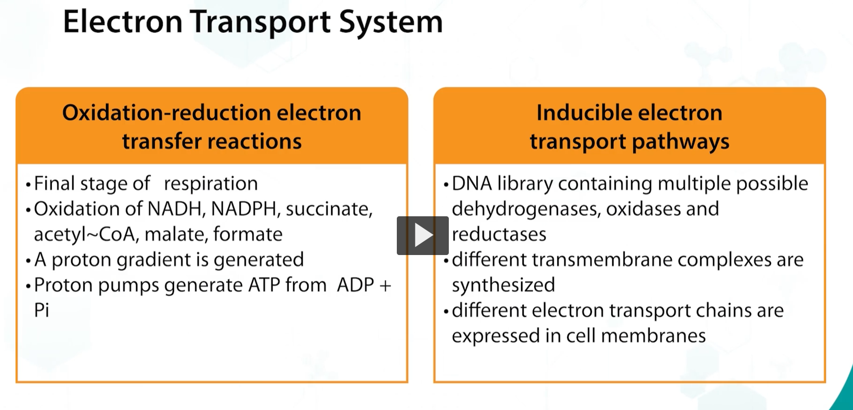 <p>a key aspect of electron transport systems is that it is the final stage of respiration, consisting of oxidation and reduction reactions. The net result is a creation of a transmembrane proton gradient, known as the protonmotive force. and the production of ATP, every time that a hydrogen ion is transported by the proton pumps </p><p>This system is inducible, and depending on the environment in which the bacteria is growing. </p><p>Various dehydrogenases, oxidases, and radicases can be expressed. </p>