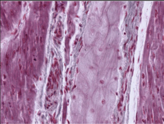 <p>What does this image show?</p>