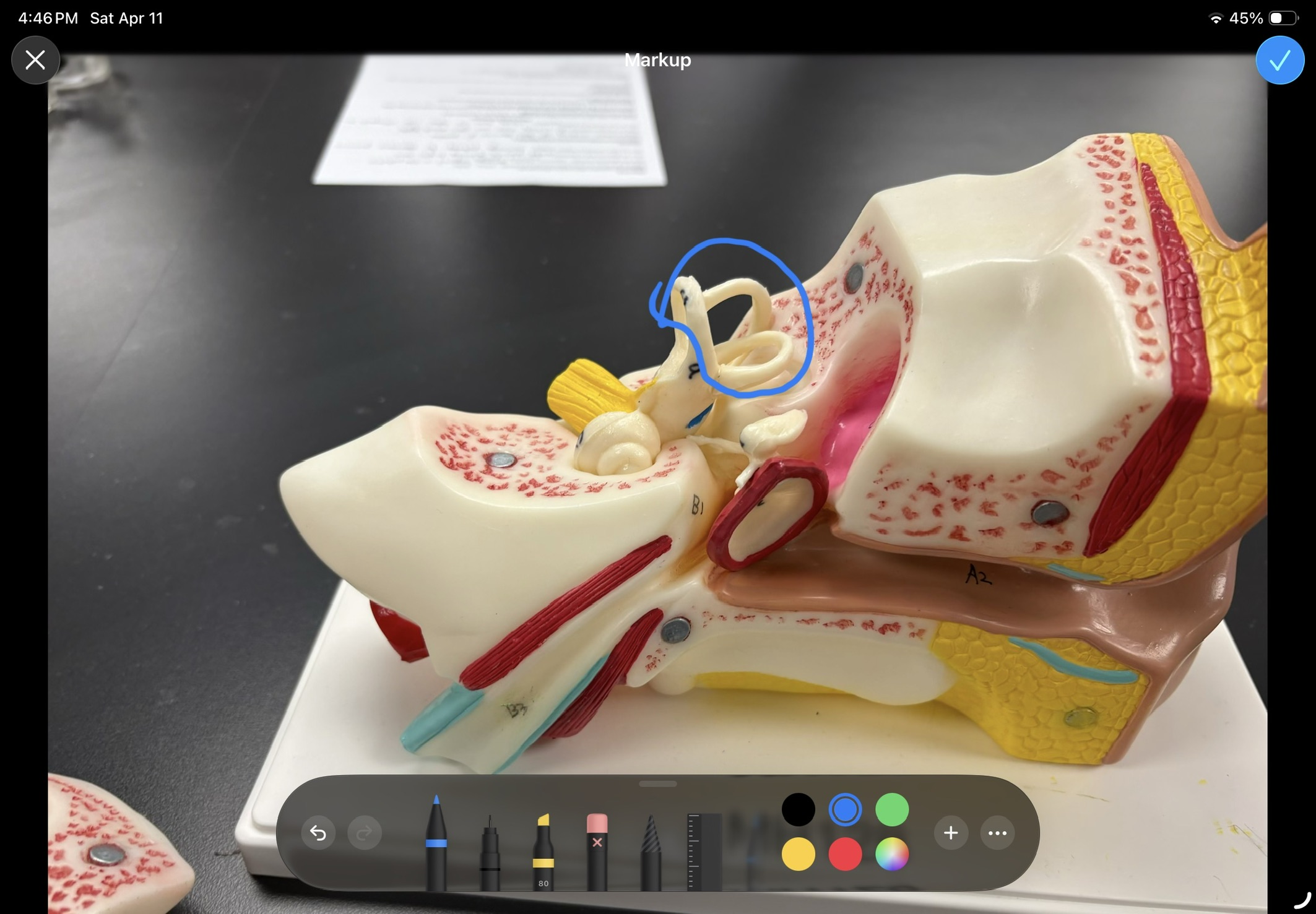 <p>what structure is this </p>