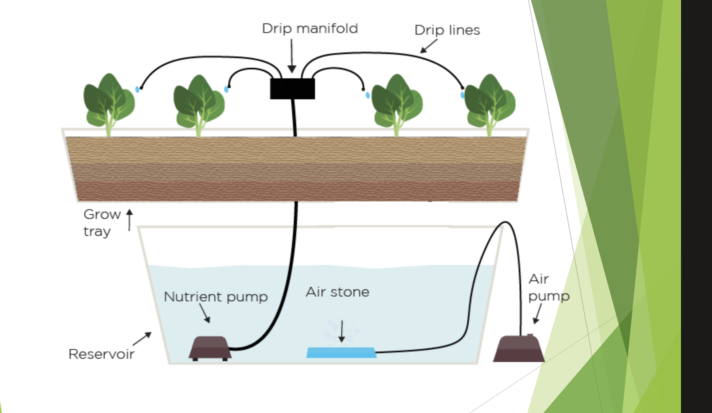 <p>It delivers the nutrient solution to the plants via a drip pump</p><p>To keep nutrient balance in the root zone of the plants, an <strong>ADEQUATE </strong>run-off must be maintained in open hydroponic systems.</p>