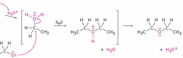<ul><li><p>SN2</p></li><li><p>acid </p></li></ul><p></p>
