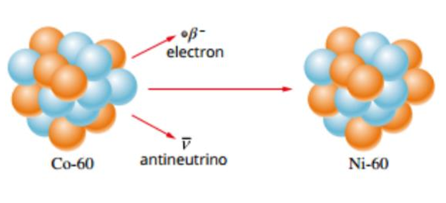 <ul><li><p>Occurs when the nucleus has too many neutrons</p></li><li><p>Therefore the Strong Nuclear Force overpowers the Electrostatic Force</p></li><li><p>The neutron decays into a proton to gain additional EF and stabilise the nucleus </p></li><li><p>Due to this, the nucleus emits an electron known as a Beta Negative Particle along with an anti-neutrino</p></li></ul><p></p>