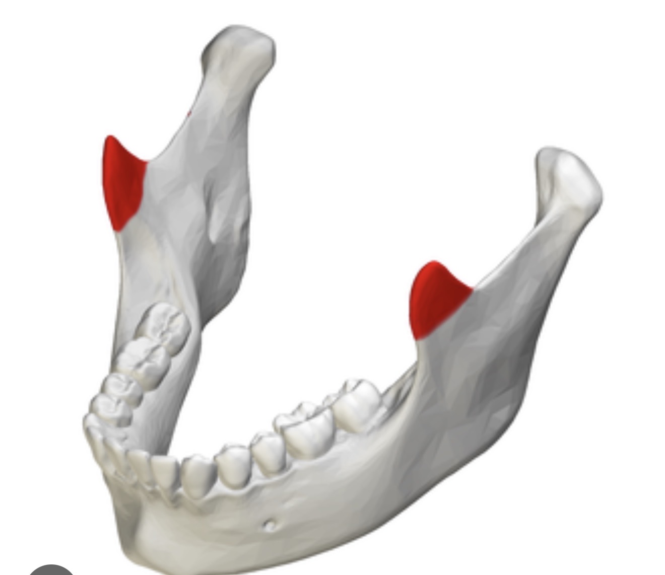 <p>what is this? R/L?</p>