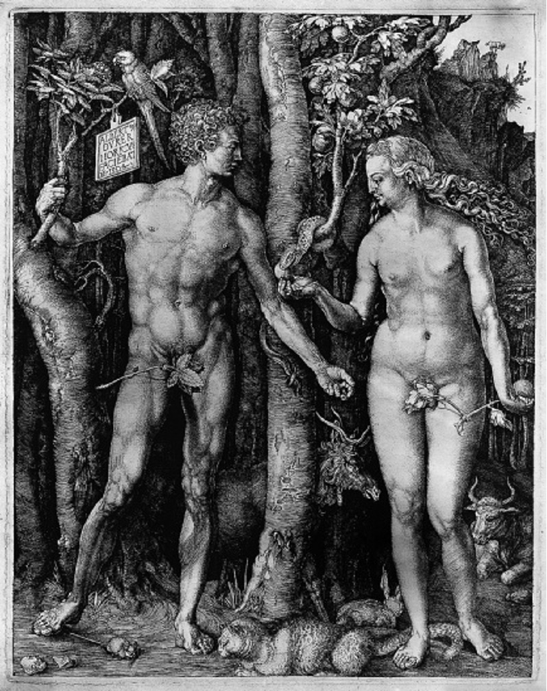 <p>this image emphasizes the Renaissance concept of </p>