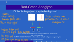<p>How a R/G Anaglyph Works</p><p>What eye will see the Red targets?</p>