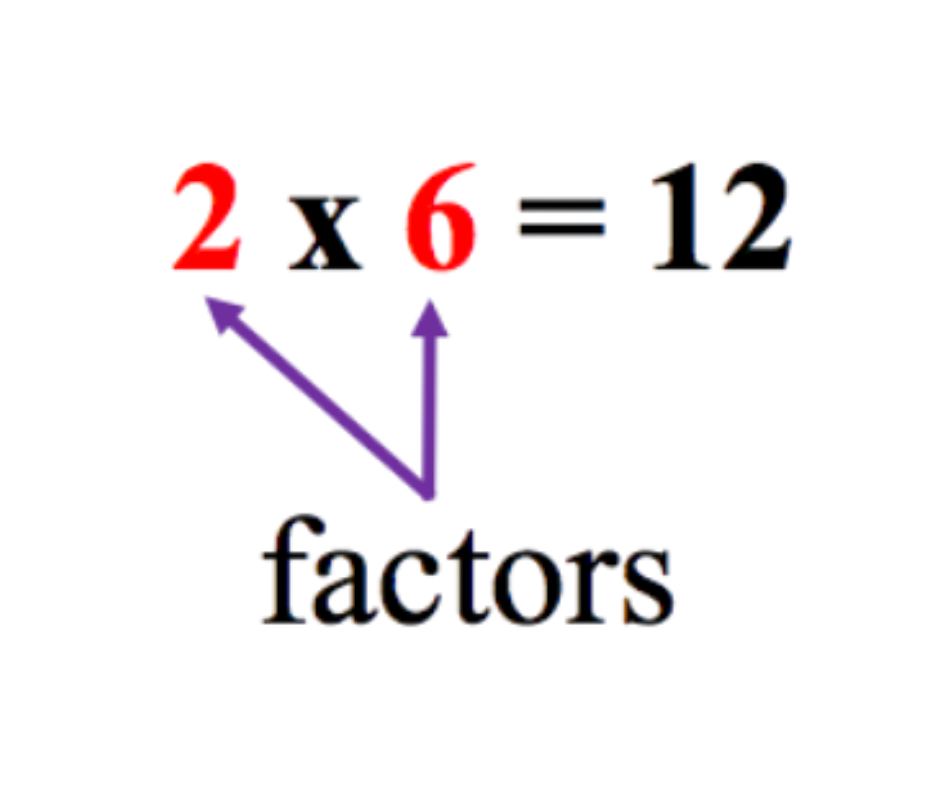 <p>Number you multiply to find the product.</p>
