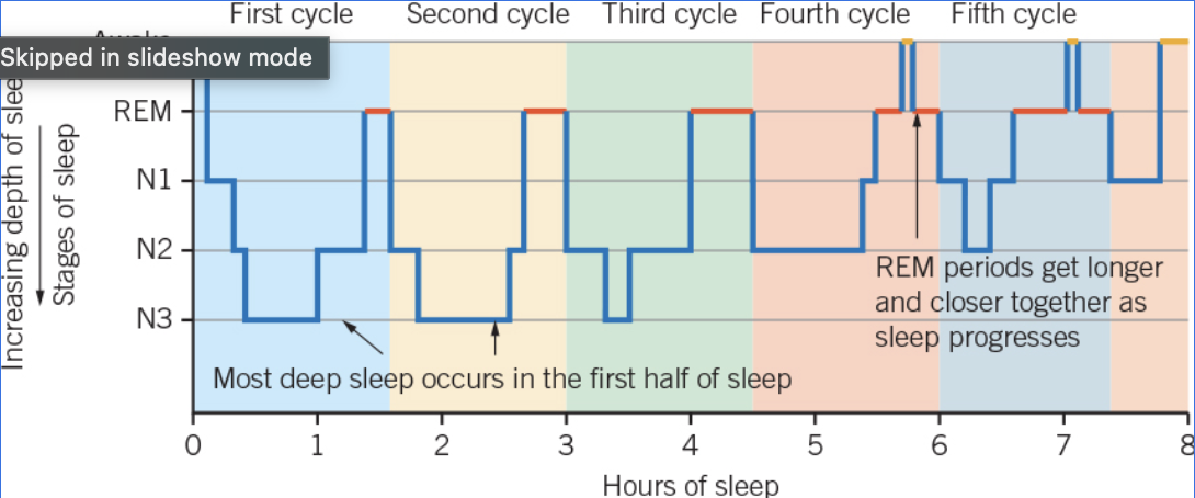 <p>Time (in terms of the time of a 24-hour day or hours since attempting to sleep) is plotted on the horizontal x-axis. The types and stages of sleep are shown on the vertical y-axis, with wakefulness at the top and deepest sleep at the bottom. </p><p></p>