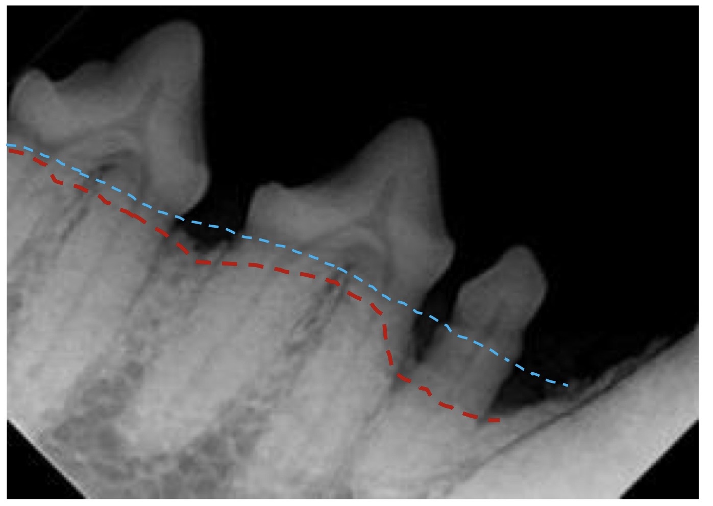 <p>what is the red dotted line?</p>