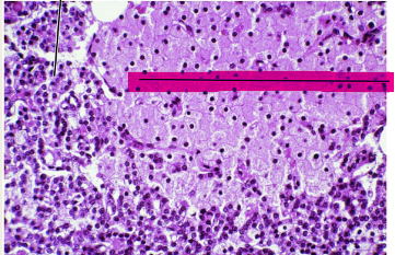 <p>what is this?</p>