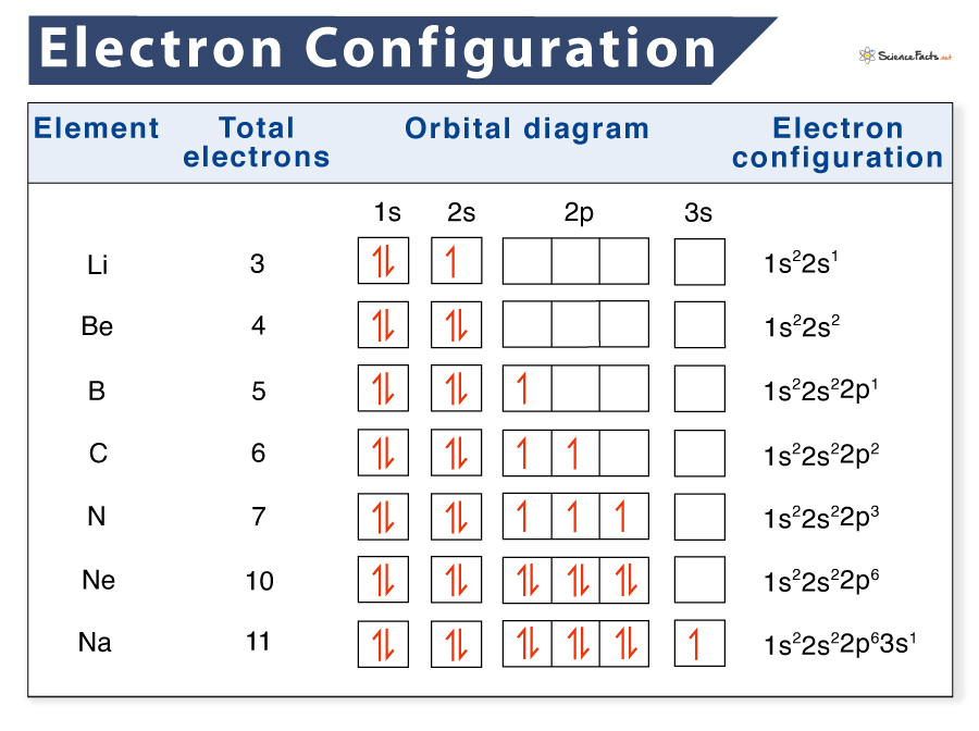 <p>Up arrow is always first</p><p>Only 2 electrons per box</p><p>Must complete all the <strong><em>up arrows first</em></strong> before going onto the down arrows</p><p>Must fill an <strong><em>orbital completely</em></strong> before moving on</p>