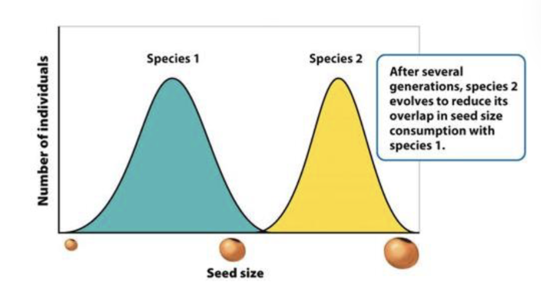 <p>The weaker competitor may be entirely excluded from that portion of the niche where overlap occurs</p>