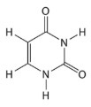 <p><span>What structure is this? Purine or Pyrimidine?</span></p>