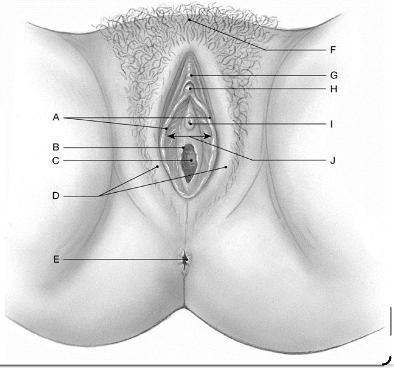 <p>What structure is G?</p>