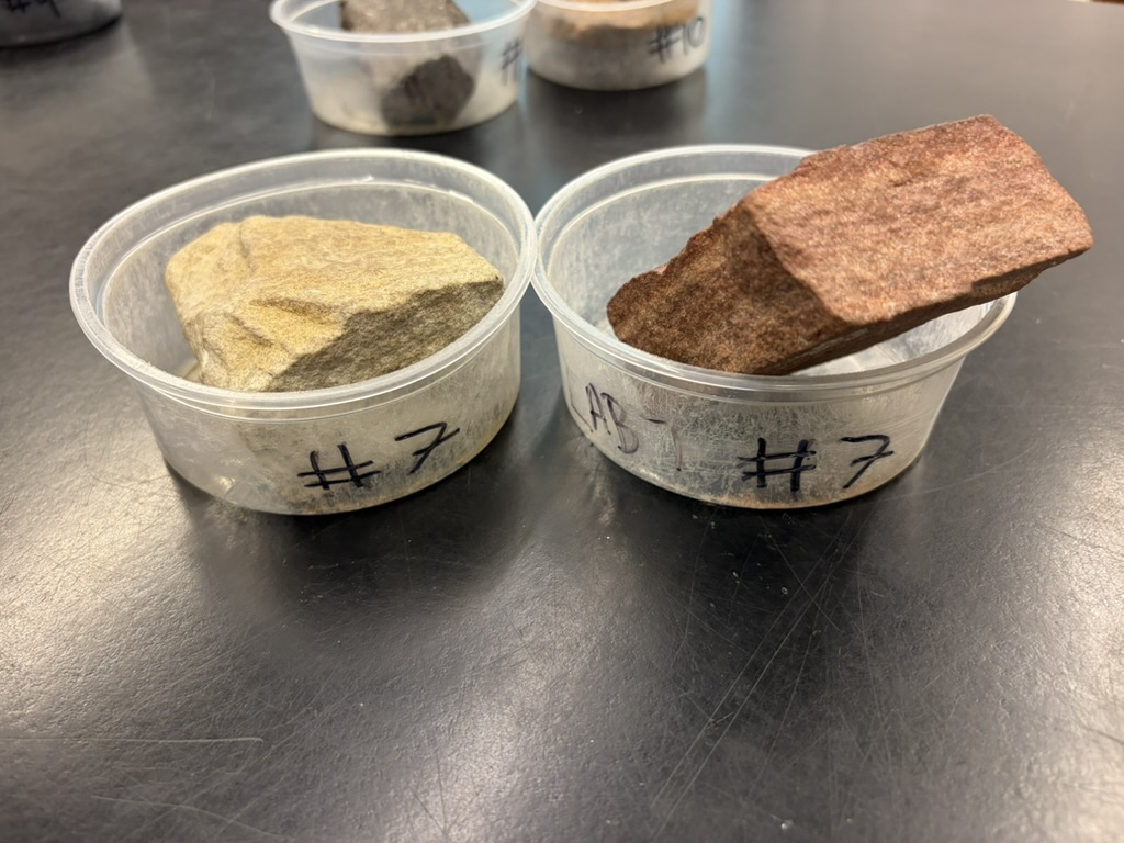 <p>Detrital<br>Clastic<br>Middle Marine Shelf</p><p>Low energy</p>