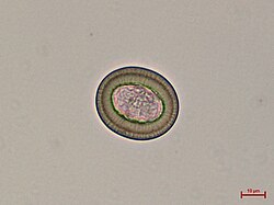 <p>What is this?</p>