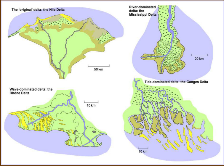 <p>Influences on delta facies (forms)</p>