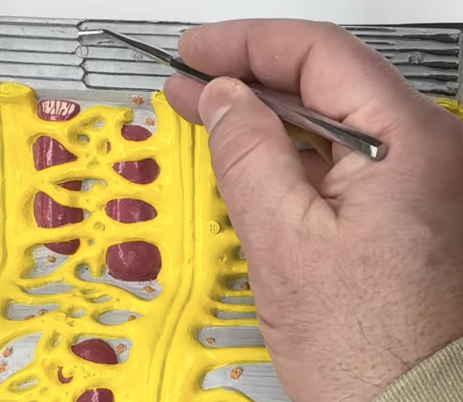 knowt flashcard image