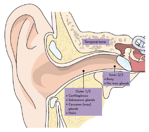 <p>EAM is made out of 2 parts:</p>